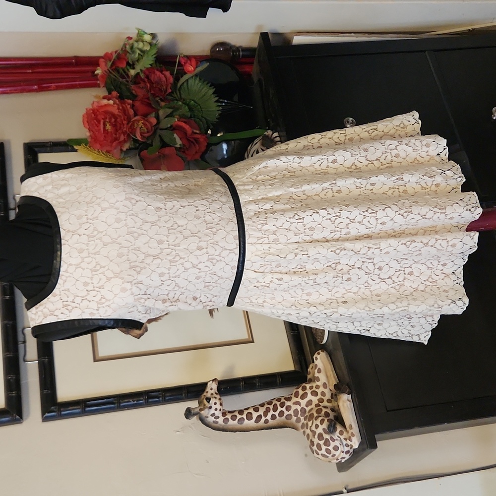 Leather & Lace Dress